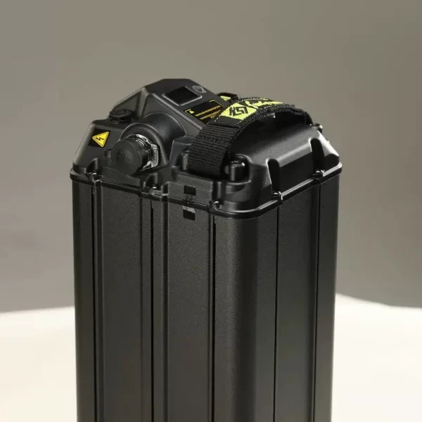 Light Bee X Lithium Battery (48V/20Ah)