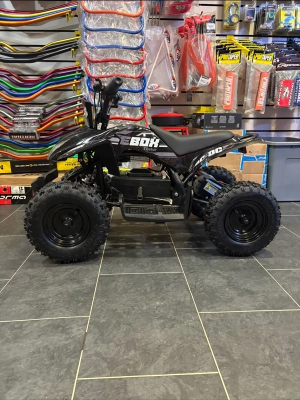 Ebox Ac/Dc Kids Electric Quad Bike