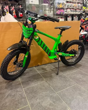 Revvi 18 Electric Kids Bike